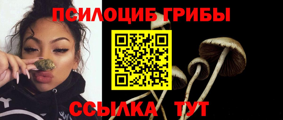 Галлюциногенные грибы прущие грибы Мелеуз